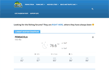 Tablet Screenshot of gulfcoastfishingconnection.com